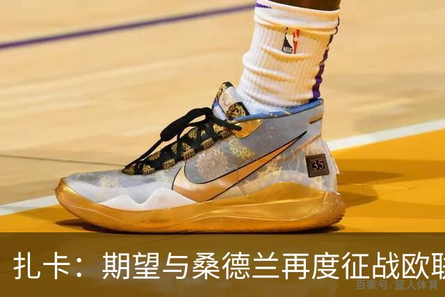 扎卡：期望与桑德兰再度征战欧联杯决赛