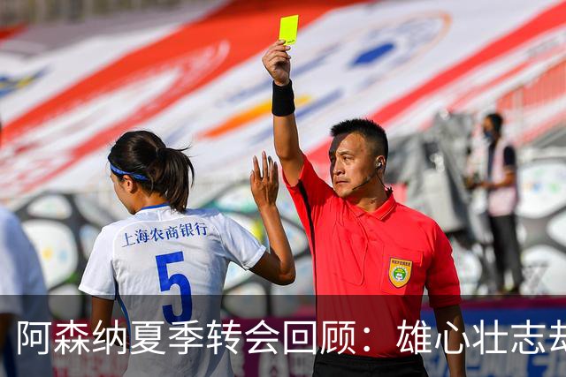 阿森纳夏季转会回顾：雄心壮志却未如愿